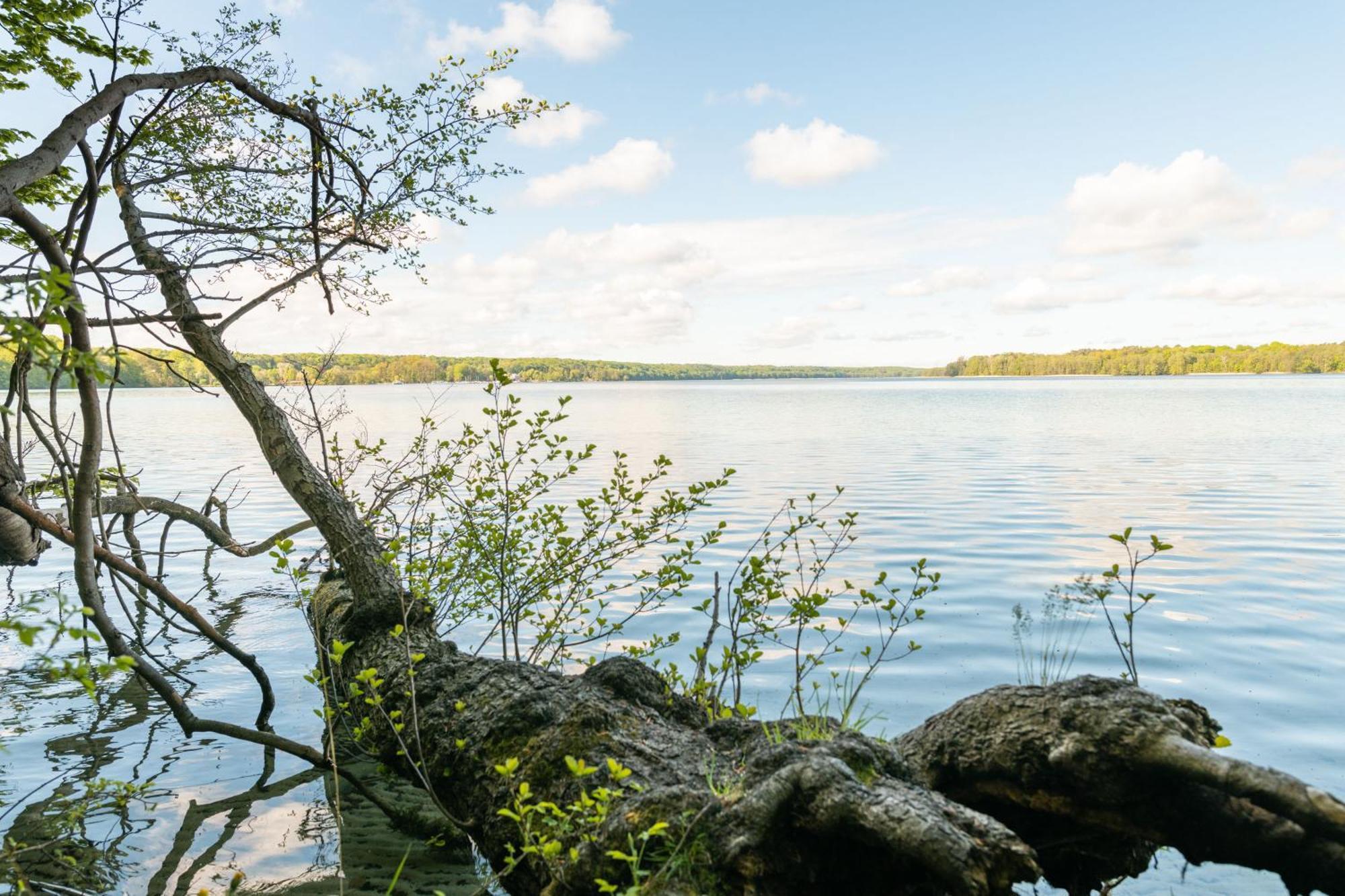 Budget Seezeit-Resort Am Werbellinsee Altenhof  Экстерьер фото